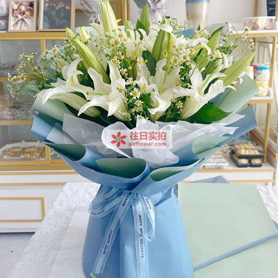 柳州8支白色多头百合洋甘菊，互倾的思念