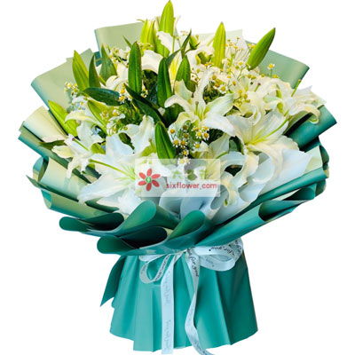 柳州8支白色多头百合洋甘菊，如潮的思念